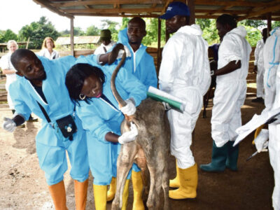 Multi-Stakeholder and Public-Private Partnership in Animal Health Services Delivery